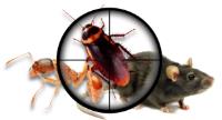 Pest Control Joondalup image 1